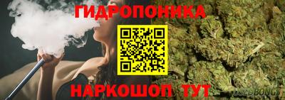 молекула духа Нальчик